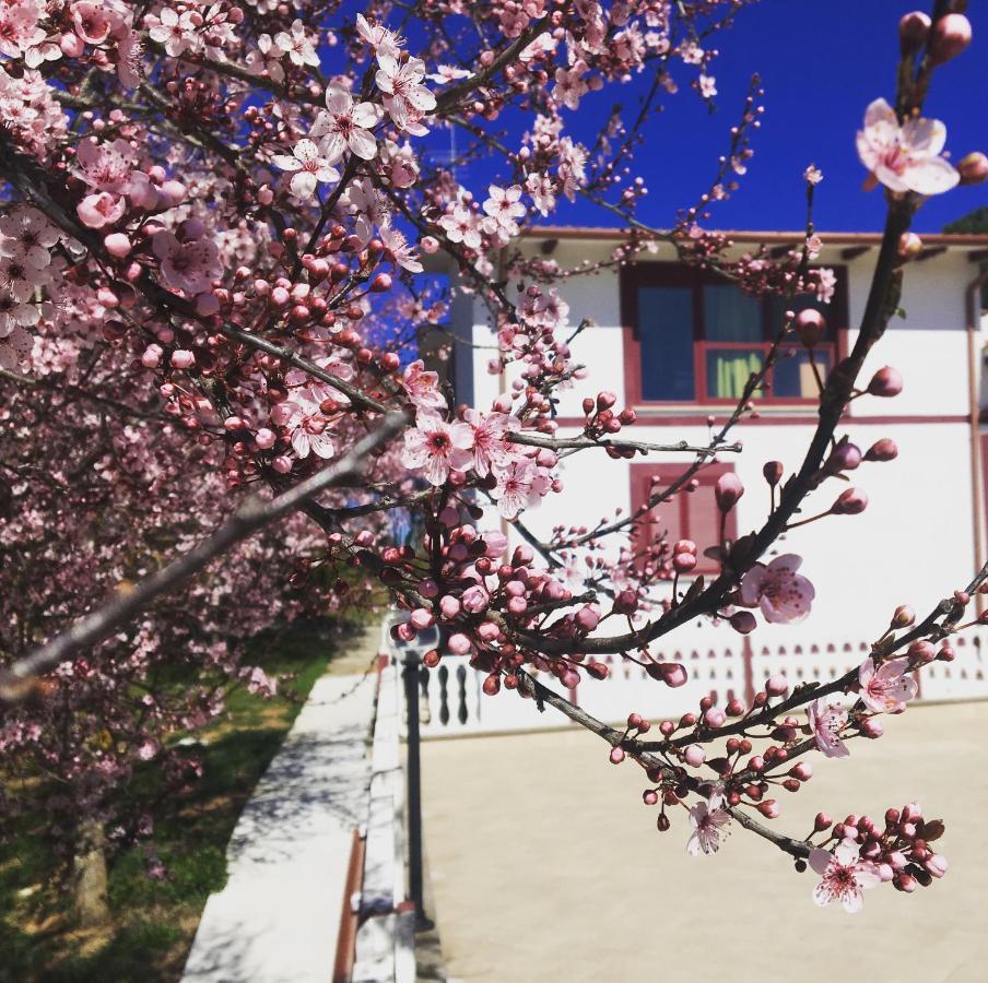 Il Profumo Della Natura B&B Oriolo Romano Екстериор снимка